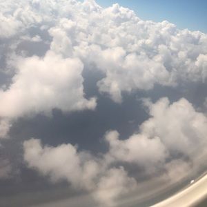 Meet your Posher, Arlene